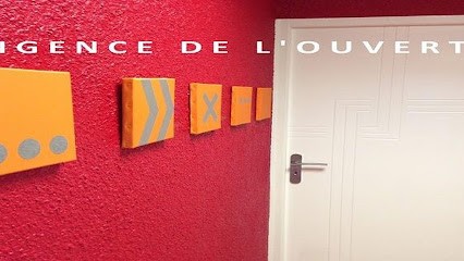 CHASSIS OR FENETRES, PORTES, VOLETS, PORTAILS, PERGOLAS., Magasin de Fenêtres à Saint-Étienne