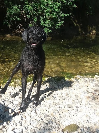 M 26, Magasin de Fenêtres à Saint-Jean-en-Royans
